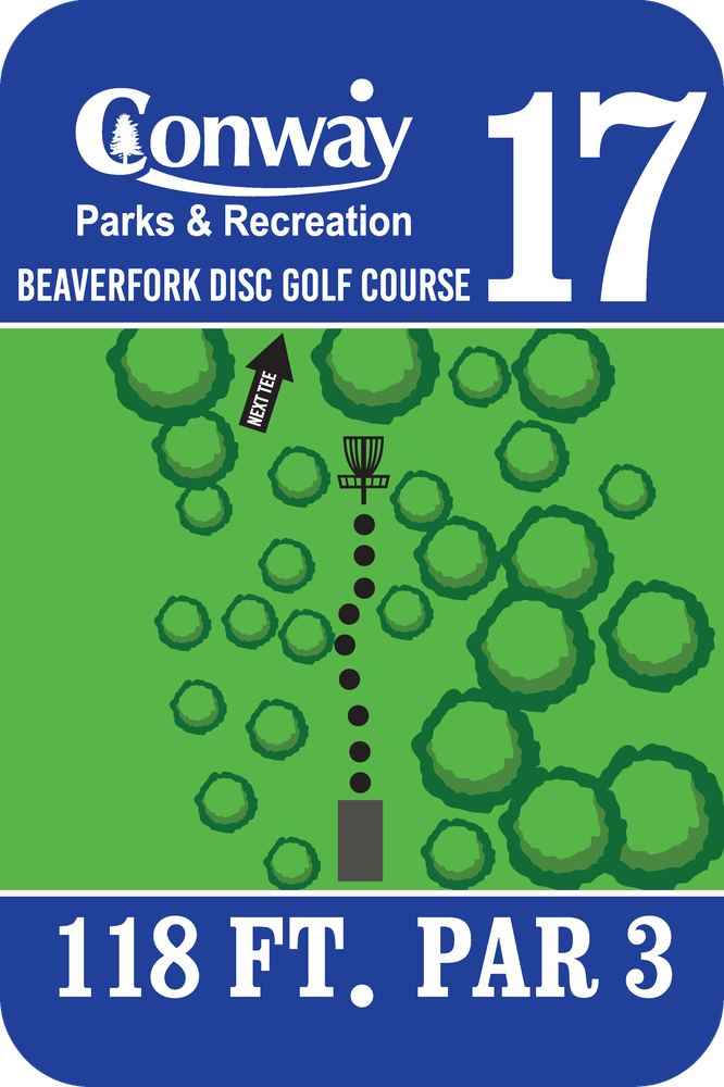 Disc Golf Course 17