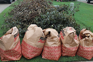 Curbside Yard Waste Collection Town of Manchester