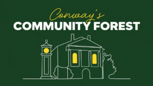 Conway Community Forest Thumbnail