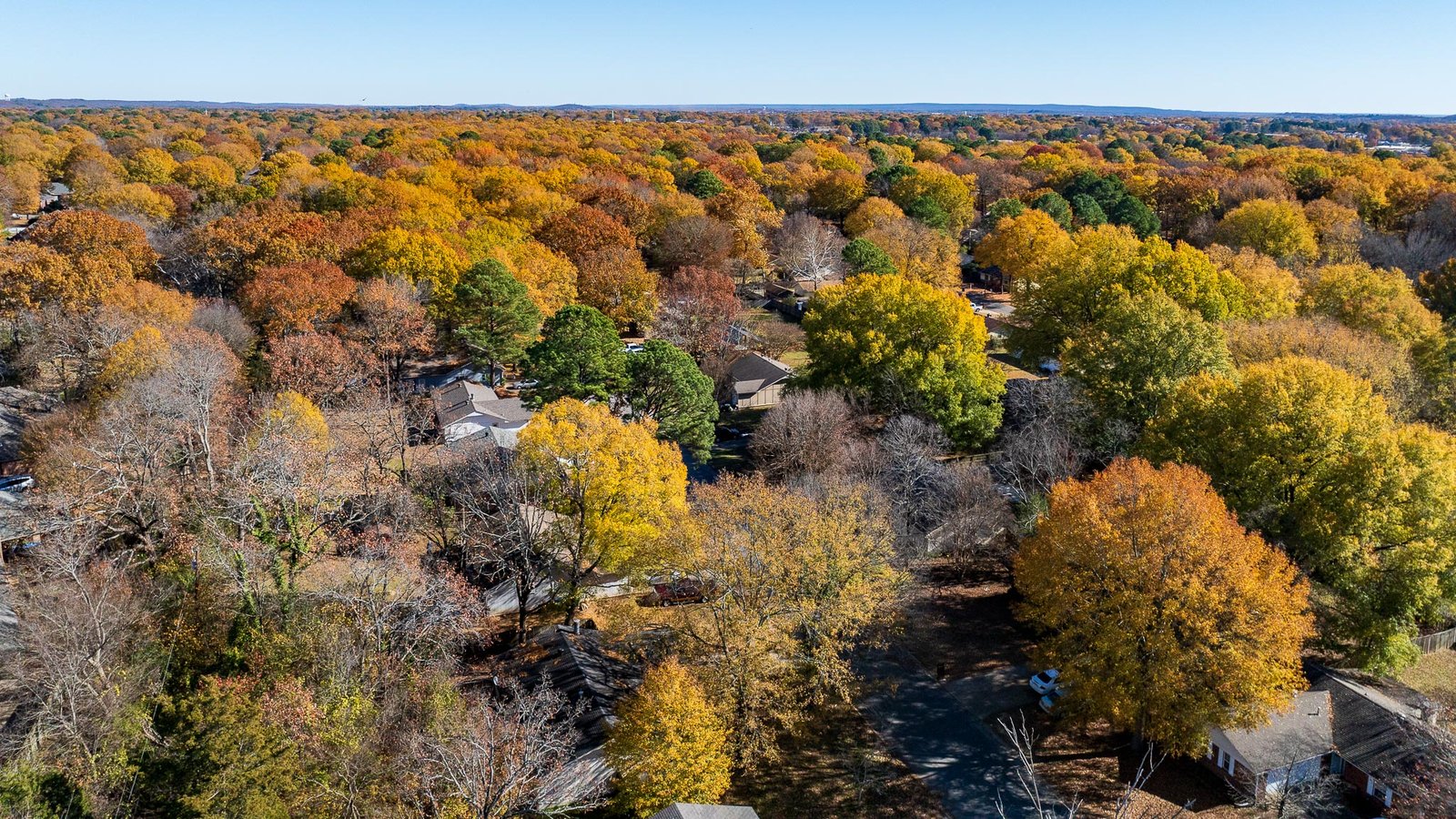 Tree Canopy in Conway, Arkansas