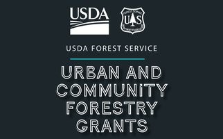 urban-forestry-grant-thumbnail